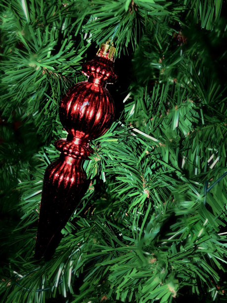 圣诞树上的红色装饰品图片下载