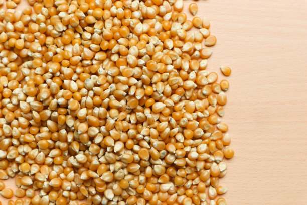 一堆黄色的玉米种子孤立在棕色的木头背景，爆米花。图片下载