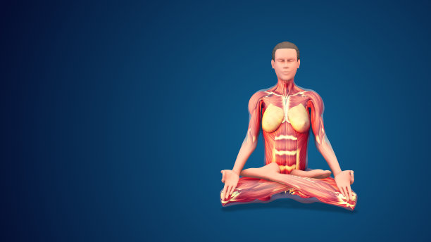 3D人莲花瑜伽姿势在蓝色背景图片下载