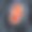 子宫解剖中的人类胎儿图片下载