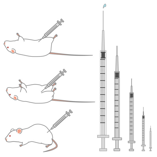 矢量插图的注射器的各种大小和老鼠被注射图片下载