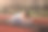 健身女子在夏日公园做瑜伽练习拉伸。运动健康理念。图片下载