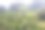Cuba - Viñales Valley - landscape图片下载