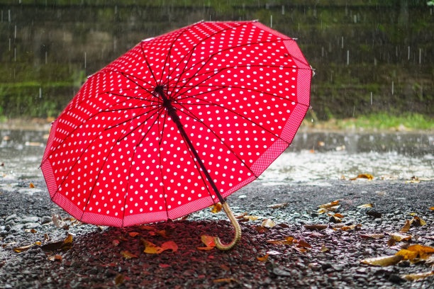 雨伞图片下载