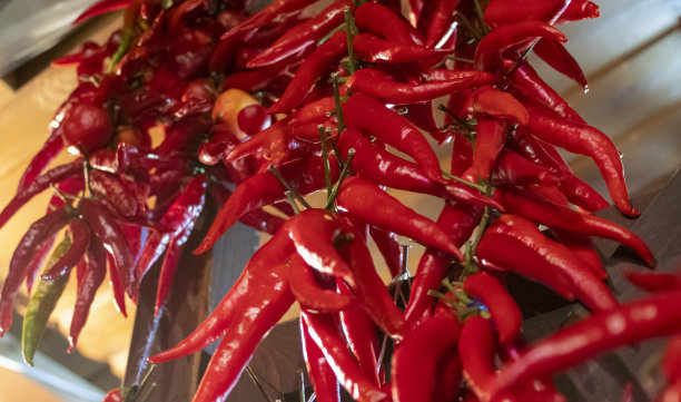红辣椒。景观。以红辣椒为背景。街市菜市场。一群红辣椒图片下载
