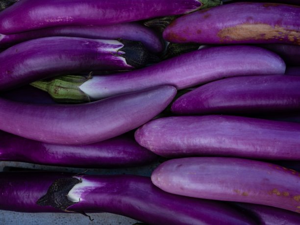 食物的质地图片下载