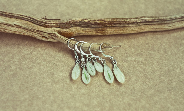 闭合小耳环与花瓣在干枝概念照片图片下载