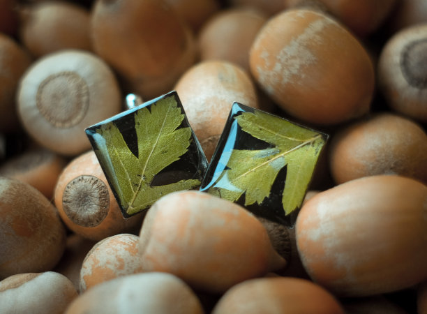 靠近工艺耳环与欧芹叶概念照片图片下载