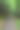 垂直拍摄绿色森林中狭窄的小径。图片下载