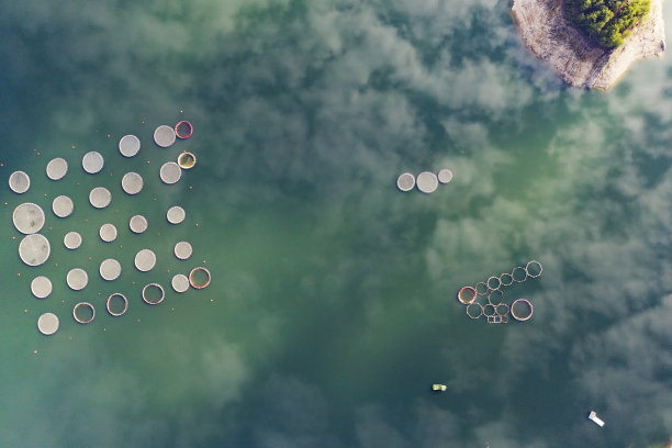 在湖边给养鱼场浇水图片下载