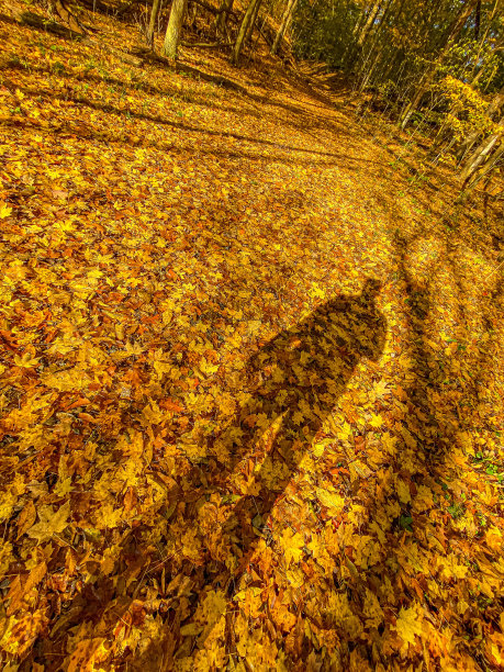 秋天的颜色图片下载