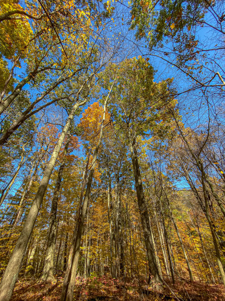 秋天的颜色图片下载