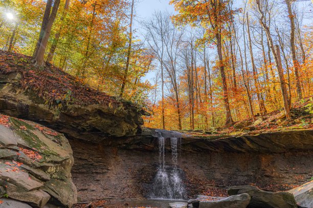 秋天的颜色图片下载
