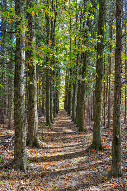 秋天的颜色图片下载