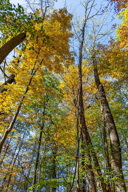 秋天的颜色图片下载