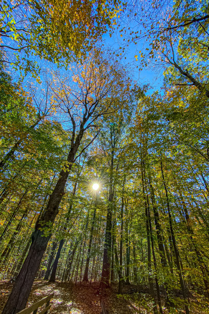 秋天的颜色图片下载