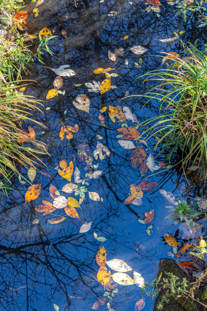 秋天的颜色图片下载