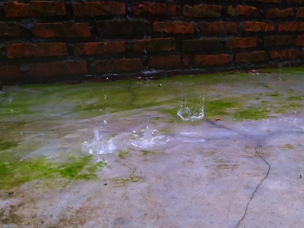 美丽的雨图片下载