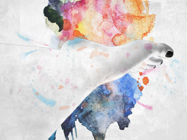 脚从上往下，露出脚趾图片下载