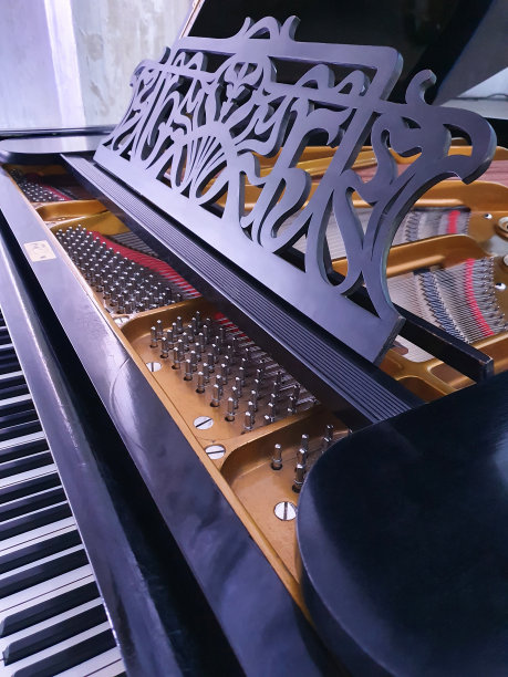 在紫光下打开黑色钢琴。音乐活动，音乐会。特写镜头图片下载