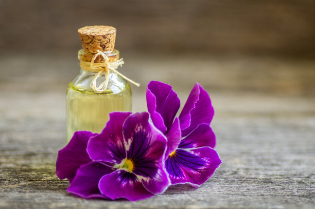 玻璃瓶堇菜精油与新鲜紫罗兰花，美容，替代药物图片下载