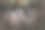 蜘蛛网图片下载