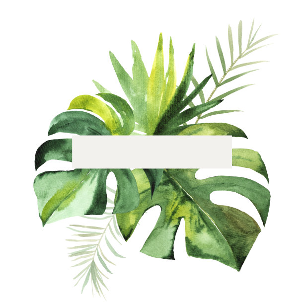 热带框架与绿色水彩叶。手绘水彩插图。图片下载