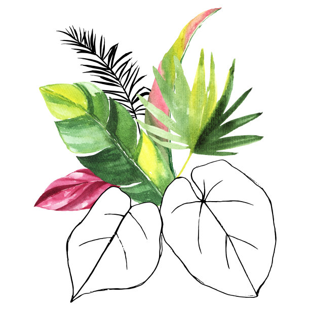 热带花束与绿色水彩叶子婚礼和仪式装饰图片下载