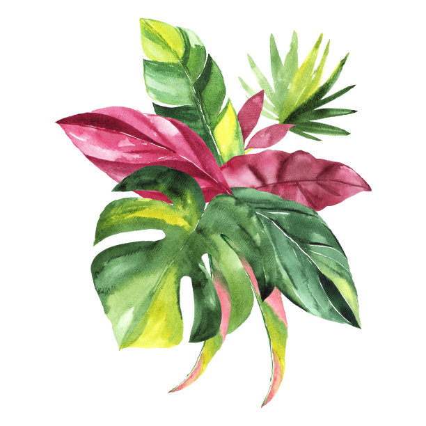 热带花束与绿色水彩叶子婚礼和仪式装饰图片下载