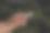 在绿色植被的背景下，一个男人手里拿着一支烟图片下载