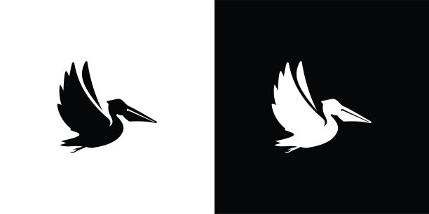 矢量鹈鹕图标标志设计。图片下载