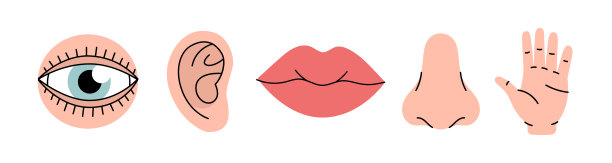人类五种感官的集合。视觉，嗅觉，听觉，触觉，味觉图标。人的感觉器官。矢量插图。眼睛，鼻子，耳朵，手，嘴巴图标集图片下载
