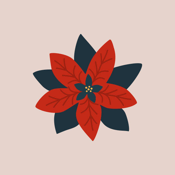 红色一品红手绘矢量插图。孤立的圣诞花海报或图标在平面风格。图片下载