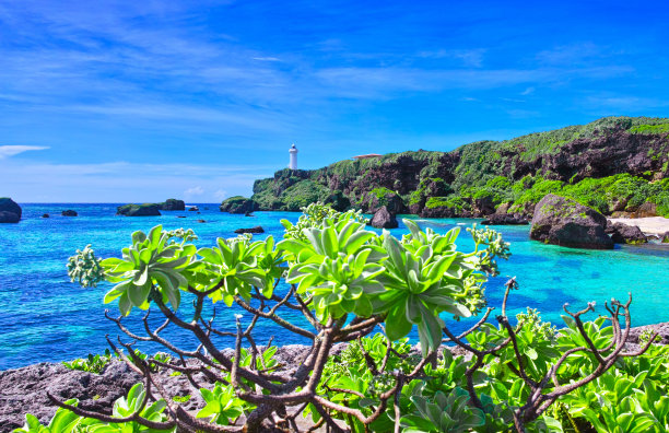 盛夏的东边崎风景图片下载