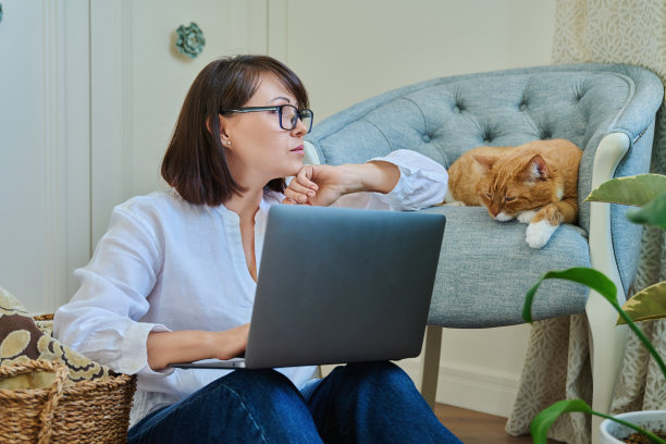中年妇女使用笔记本电脑，躺在扶手椅上睡觉的猫图片下载