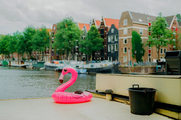 莱顿运河背景上的充气火烈鸟图片下载