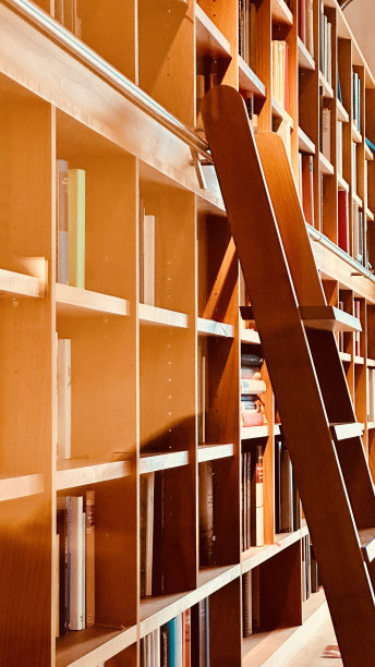 图书馆的书架，侧视图的木梯图片下载