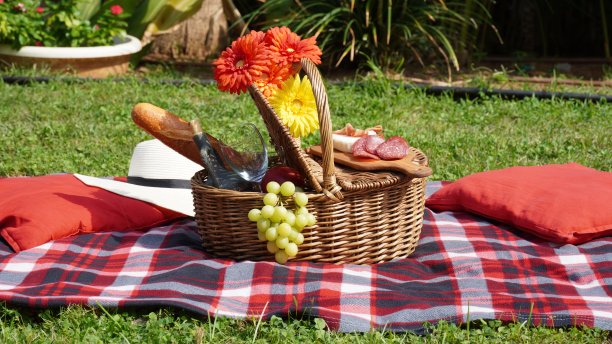 公园里装满食物和葡萄酒的野餐篮，夏季野餐概念图片下载