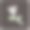 图标了。与植物符号有关。光滑的风格。简单的说明。工厂。橡树。叶子。玫瑰图片下载