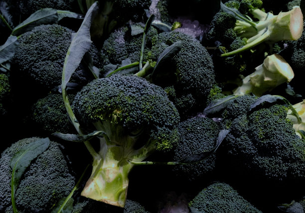 食物和物品图片下载