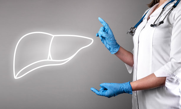 肝脏的健康图片下载