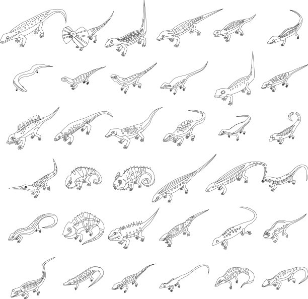 蜥蜴图标设置大纲图片下载