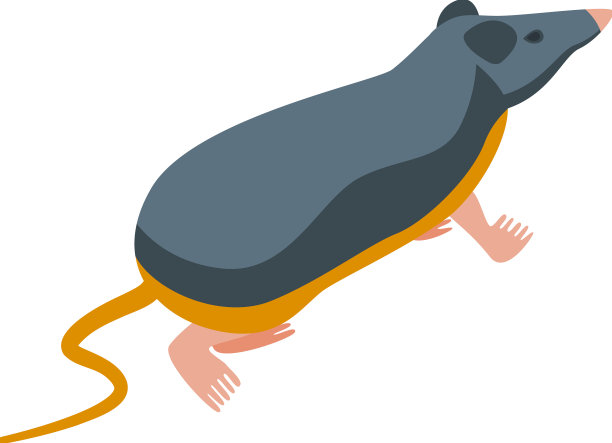 自然鼩鼱图标等长非洲动物图片下载