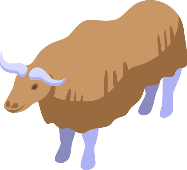 大毛野牛象征等长美国人图片下载