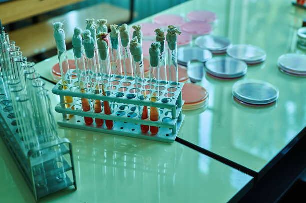 各种培养基试管微生物细菌大学实验室图片下载