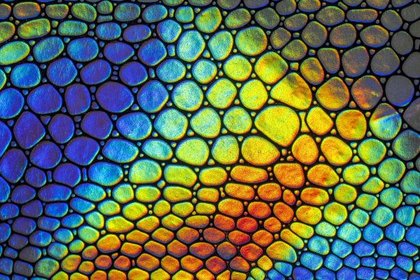 不同颜色的皮革上色样品图片下载