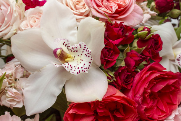 花束，玫瑰和百合，鲜艳多彩的插花。花束。粉红色和白色的花。插花艺术。漂亮的花束、礼物、关注的标志。图片下载