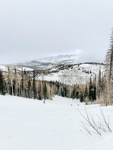 鹿谷雪景图片下载