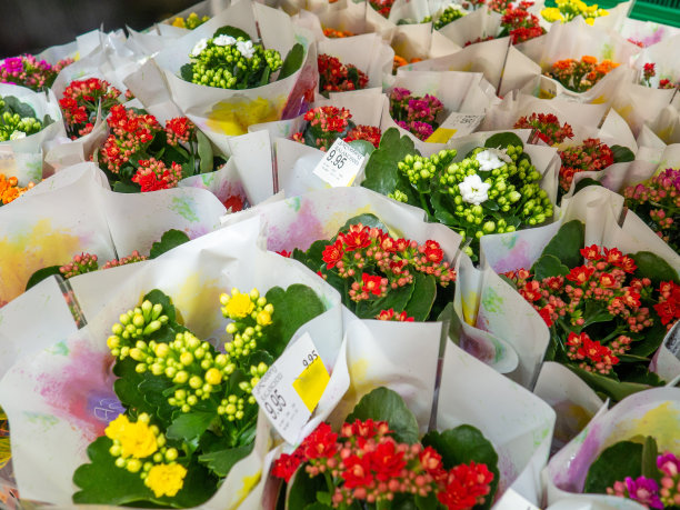 商店的货架上。一束一束的花。不同颜色的花。超市里的各种商品。图片下载