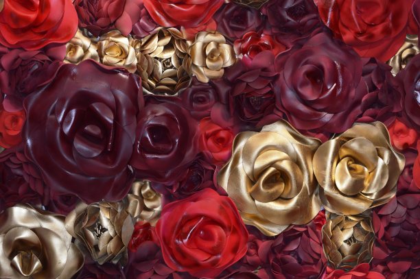 玫瑰花蕾背景图片下载